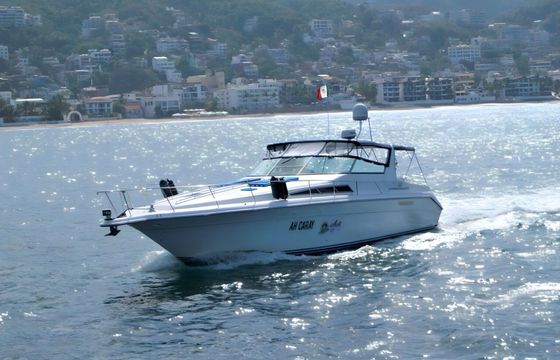 Motorboat Sea Ray Sea Ray 42