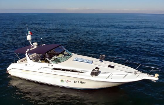 Motorboat Sea Ray Sea Ray 42