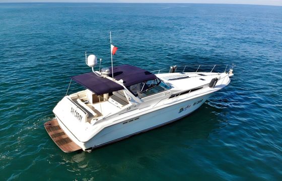 Motorboat Sea Ray Sea Ray 42