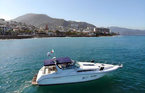 Motorboat Sea Ray Sea Ray 42