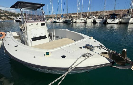Motorboat Four Winns Quest 207 175hp