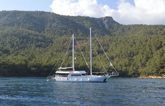 Gulet Up to Date 2016 30m