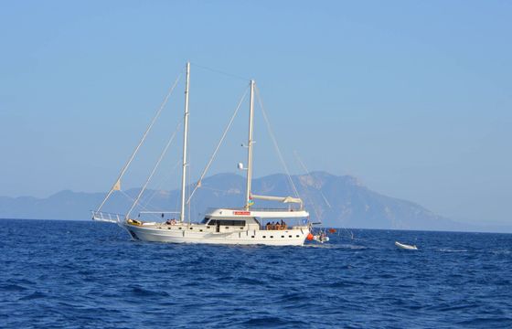 Gulet Up to Date 2016 30m