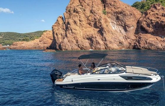 Motorboat Bayliner Vr6 225hp