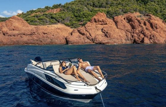 Motorboat Bayliner Vr6 225hp