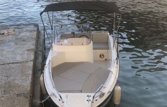 Motorboat QUICKSILVER Activ 455 50hp