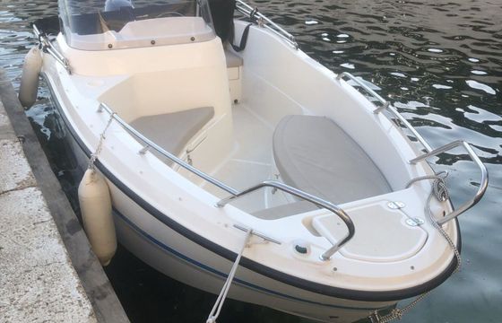 Motorboat QUICKSILVER Activ 455 50hp