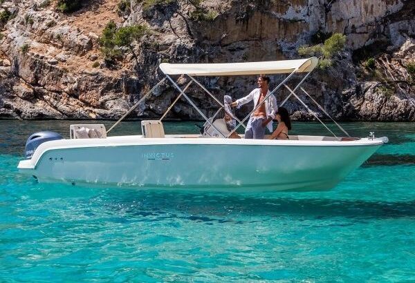 Motorboat INVICTUS 190 FX 115hp