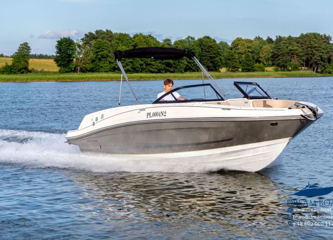 Motorboat Bayliner VR6E 250hp