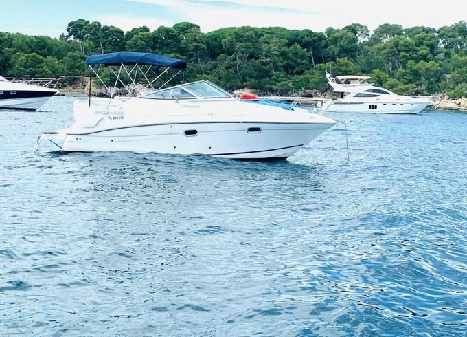 Motorboat Four Winns 248 Vista 320hp