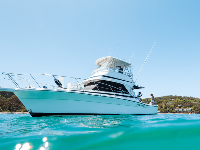 Medusa Charters