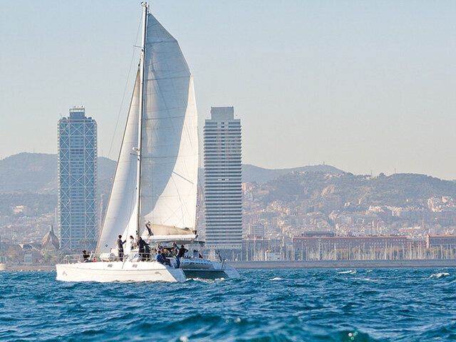 Blue Magic Cat – Premium 42ft