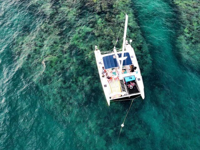 Honest Eco – Sailing Catamaran Blu Q