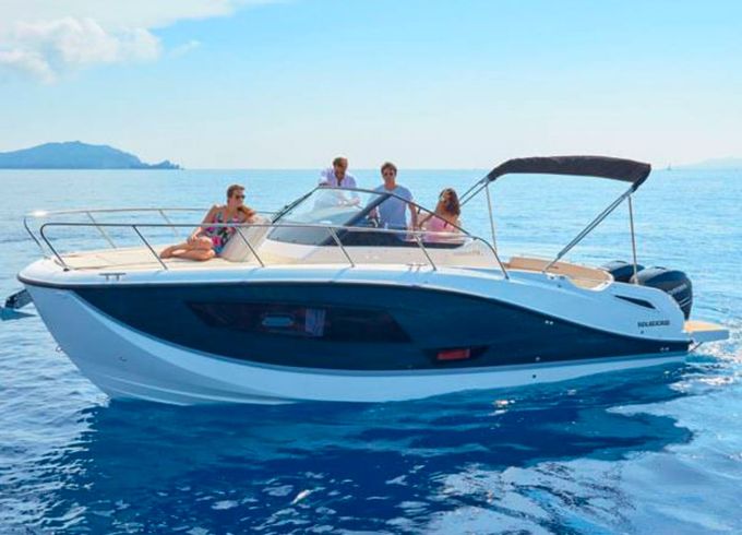 Quicksilver 875