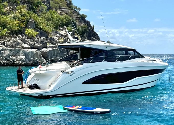PRINCESS V55