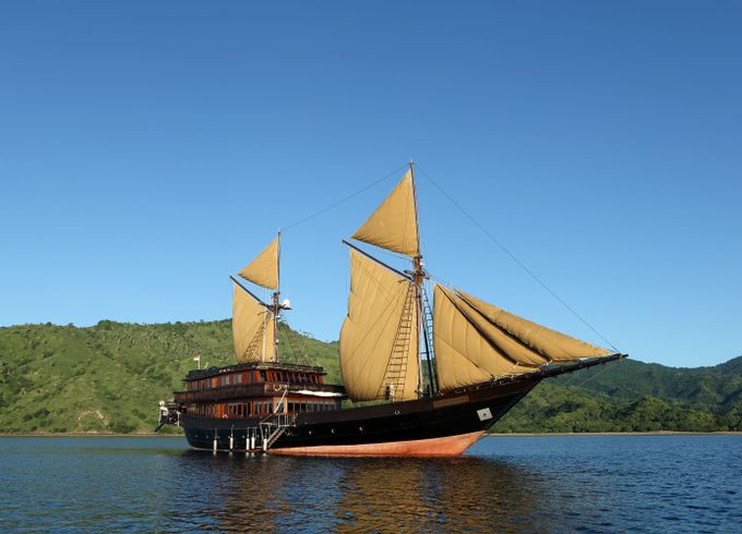 ALILA PURNAMA