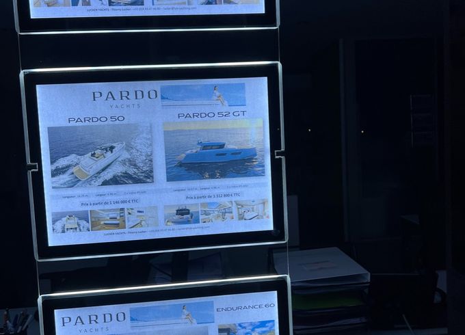 Pardo 50