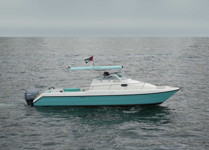 Conwy 34ft