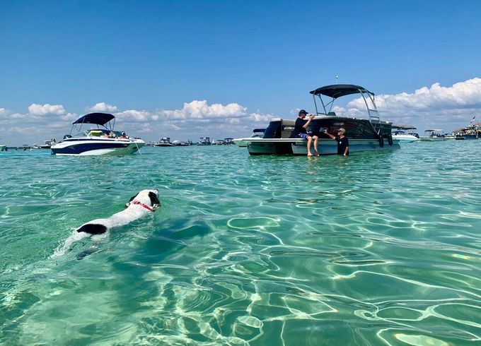 Crab Island and Dolphin tours