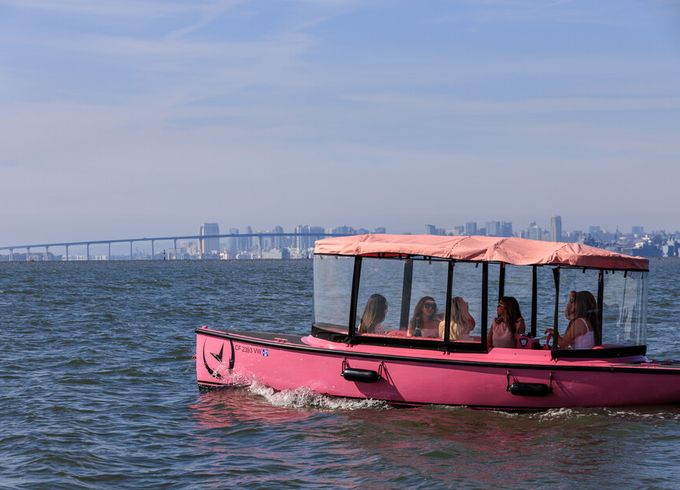 Pink Electric Boat Rental in San Diego (Drive It Yourself • Seats 10)