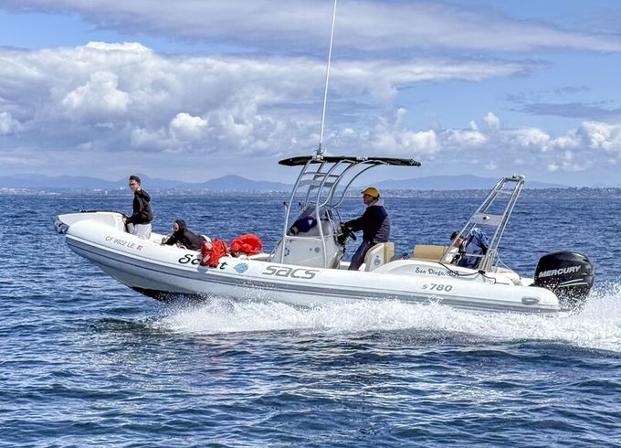 26' SACS 300 HP Power Boat Scout, BYOB, and Licensed Captain