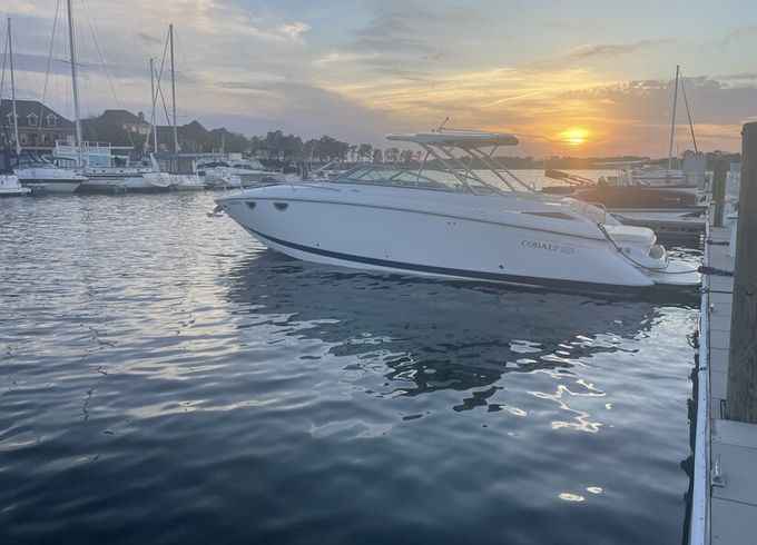 Romantic Cobalt Escape — 34’9” Cobalt 323 on Lake Murray