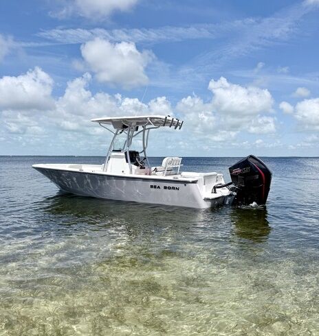 22' Sea Born Center Console — Perfect Sandbar and Fishing Boat