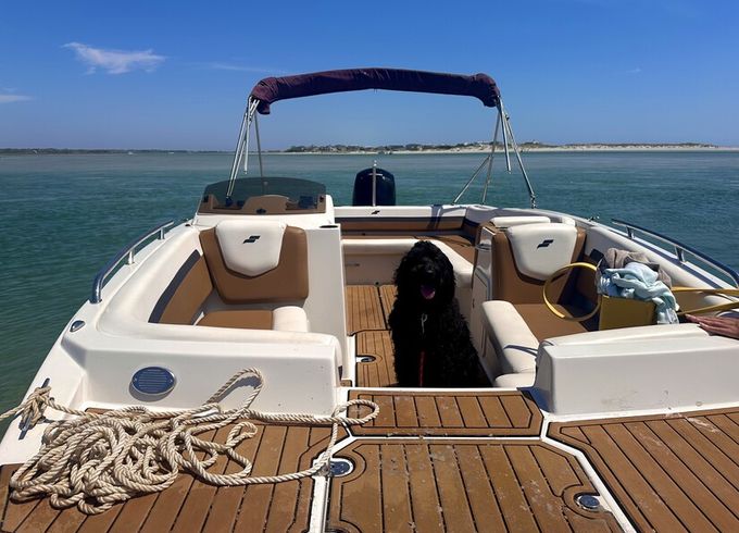 New! Perfect for Cruising StarCraft
