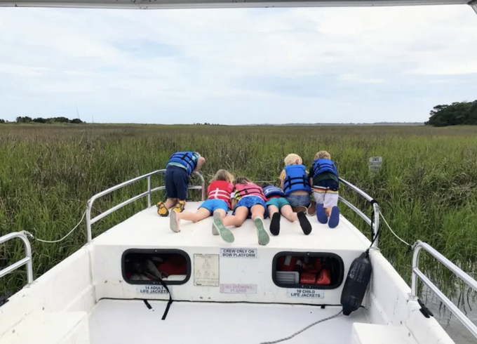 Ultimate Folly Beach ecotour, dolphin tours, sunset cruise