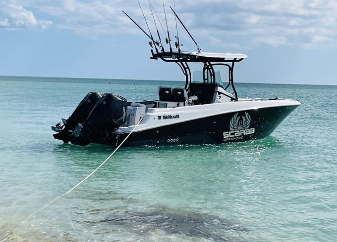 Private Coastal Escape, Sandbars, Shelling, Sunset, Island, Family Fun