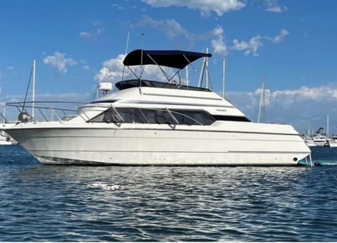 Relaxing Cruises on the Bay and Coast