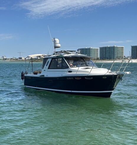 28' boat for Dolphin, sunset & Siteseeing Cruise in  Orange Beach, AL!