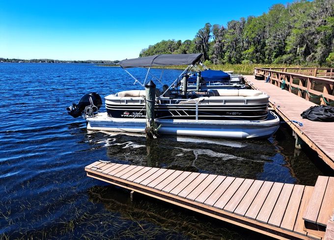 Scenic Pontoon Ride on Lake Tarpon – Wildlife & Sunset Cruise