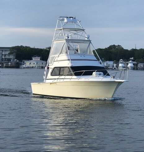 Destin/Ft. Walton Beach: Sportfishing Charters - Big Fish!!