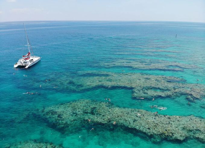 Private Snorkel Charters on 65' Sailing Sandie Catamaran!
