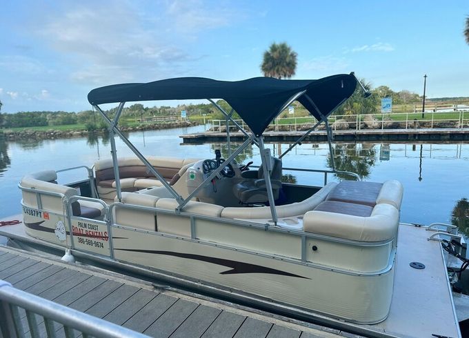 11-Passenger Pontoon – Dolphin Sightings in Daytona Beach