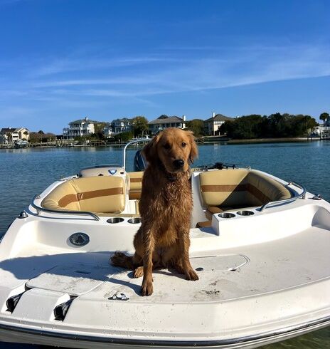 Sporty Sandbar and Island Hopping Deck Boat