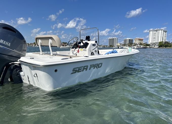 17' Bay Boat — Family-Friendly Fishing & Cruising