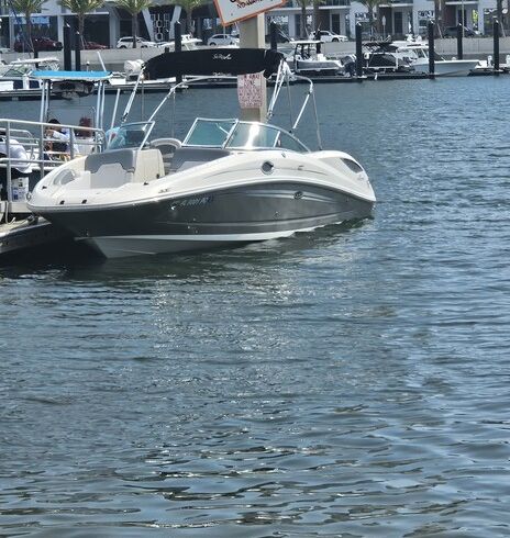 Sea Ray 300 Sundeck