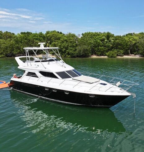 Beautiful Viking 52  FlyBridge Yacht
