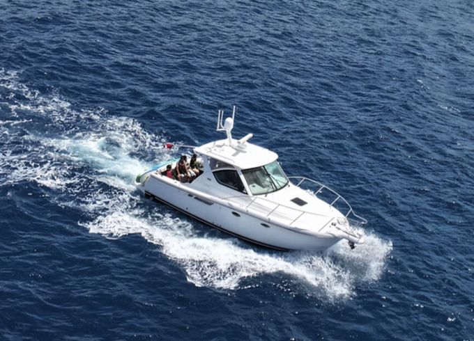 SPECIAL PRICE Private Charter: Snorkel, Dolphins, Sunset, Fireworks
