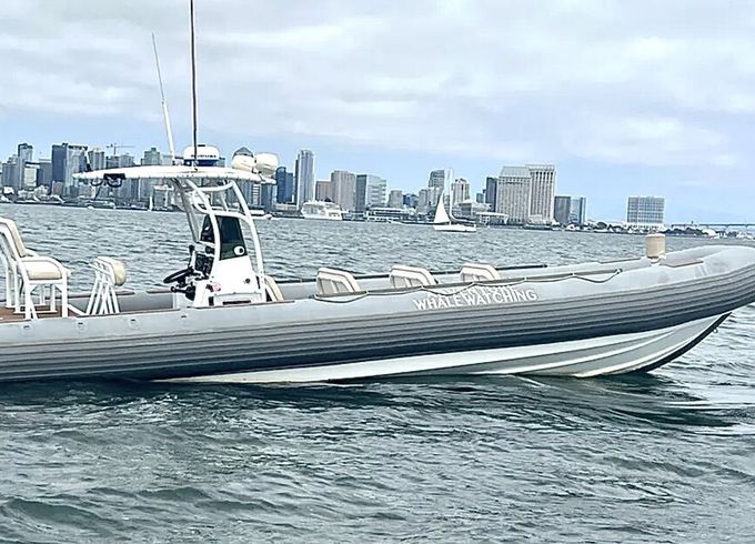 33 Foot, WHALE WATCHING SPEED BOAT, 17 Passenger RIB