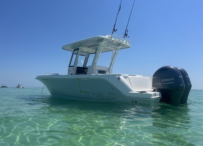 Coastal Pursuit Custom Charters