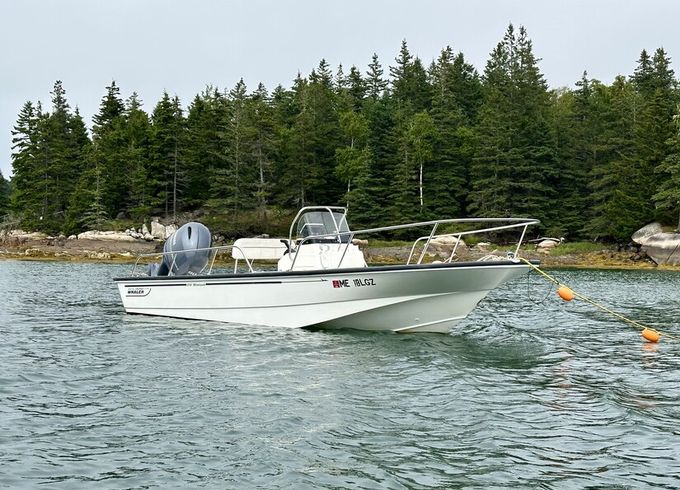 Boston Whaler 17 Montauk