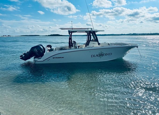 The Jewel of the Inlet