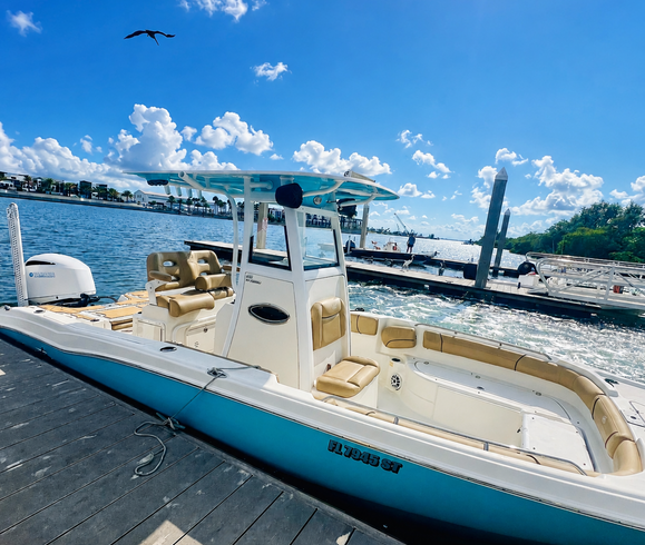 Sandbar Party, dolphin watching, cruising