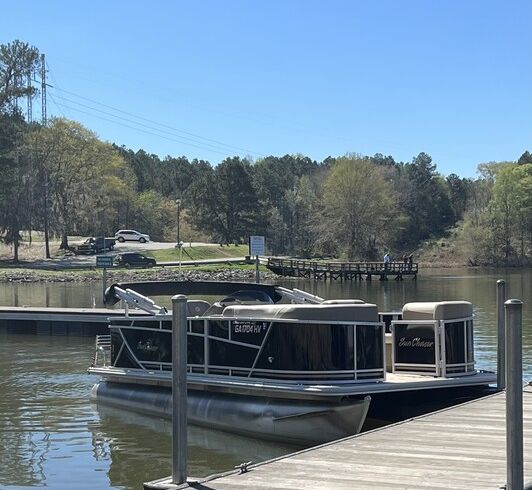 Sunny 20' Sunchaser Pontoon — Seats 10, Pet-Friendly
