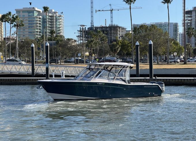 super clean,  reliable and comfort pleasure boat!