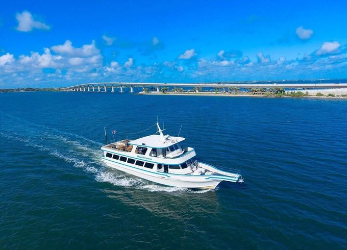 Enjoy the best views of Annapolis aboard the Island Princess