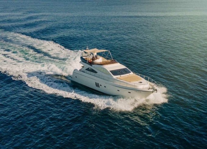 Abacus 61 Estela